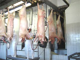 Frigoríficos em Sumaré